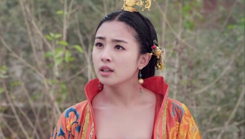 兰陵王妃 第10集