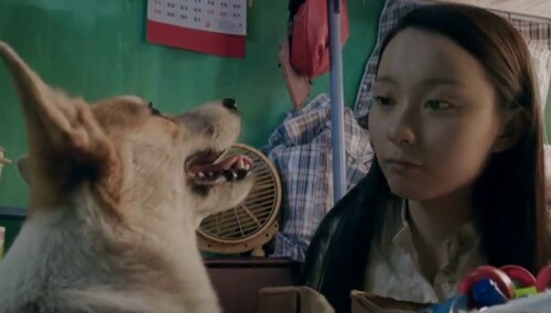 《一条叫王子的狗》MV 清纯女主献唱主题曲《若即若离》