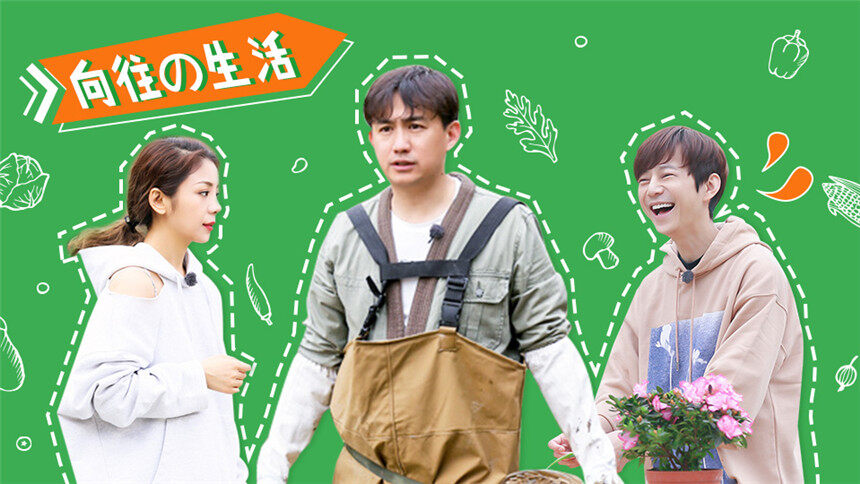 【菇菇剧爱穿】《向往的生活》笑点盘点，黄磊何炅张杰彭昱畅衣品也很有看点！