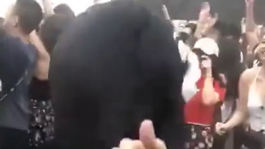 这是见过最野的熊，方圆两米都不敢站人！