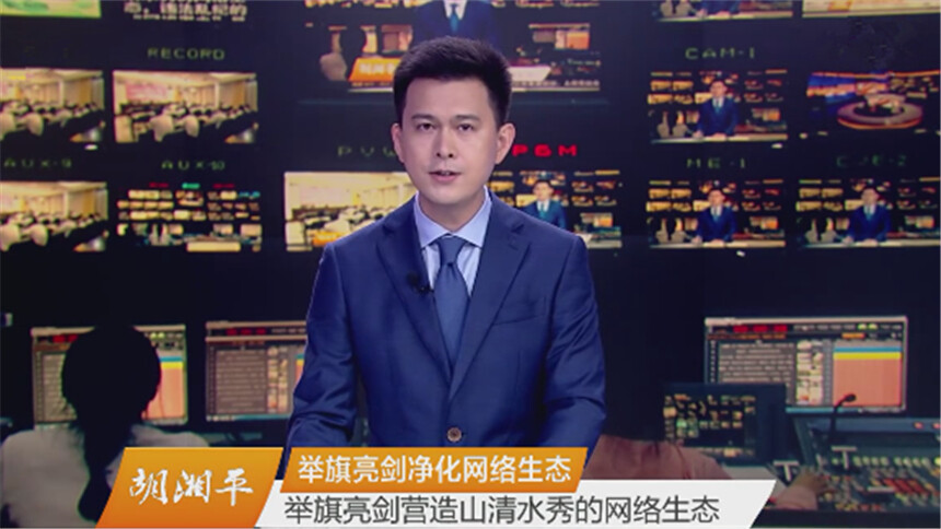 胡湘平：举旗亮剑净化网络生态