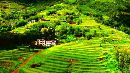 溆浦：山背梯田丰收美景