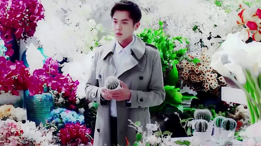 恭喜张若昀喜提卡路里