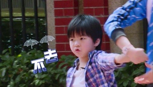 安东尼爆发不肯去幼儿园，专家一针见血指出问题，张庭尴尬了...
