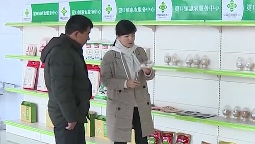 （人大代表风采）董敏芳：我的职业是农民