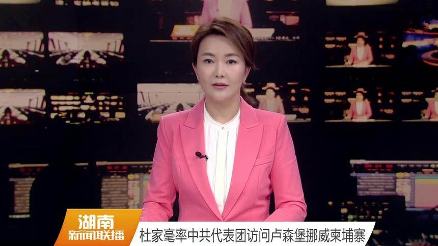 杜家毫率中共代表团访问卢森堡挪威柬埔寨