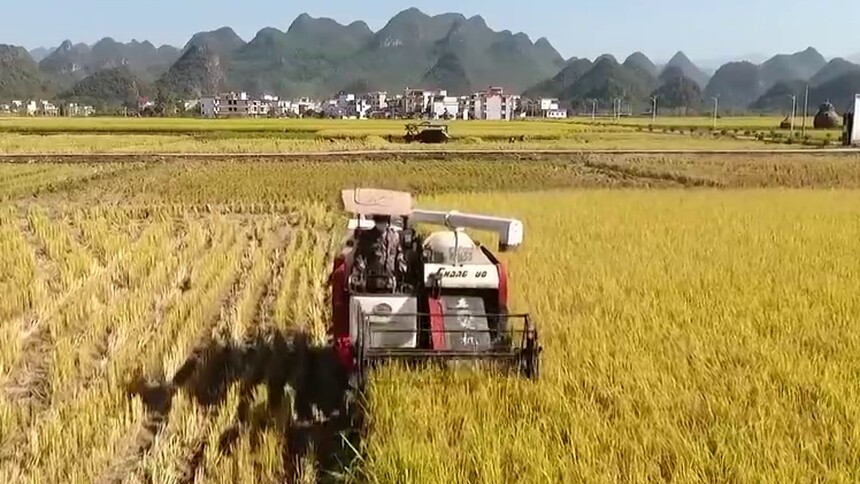 宁远：收割机描绘丰收画卷