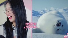 形容的相当到位了！ 杨超越形容徐梦洁像海豹？