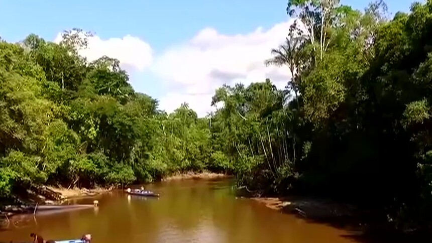 亚马逊雨林遭砍伐面积增20%