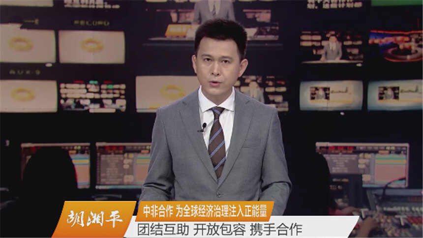 胡湘平：中非合作 为全球经济治理注入正能量
