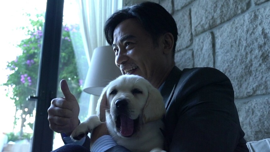 《小Q》导盲犬养成记特辑 见证人类最忠诚有爱的伙伴