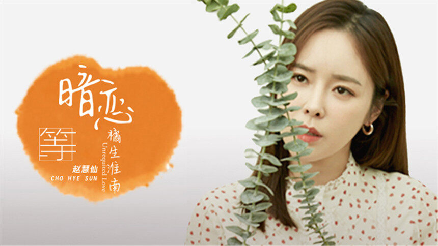 赵慧仙《等》（电视剧《暗恋·橘生淮南》插曲）