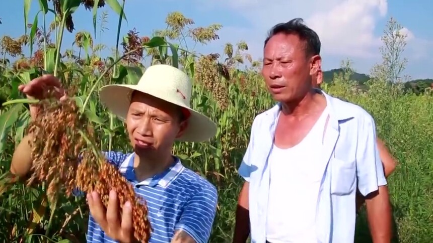 人民满意的公务员 杨军：贫困户的笑脸 就是我的动力