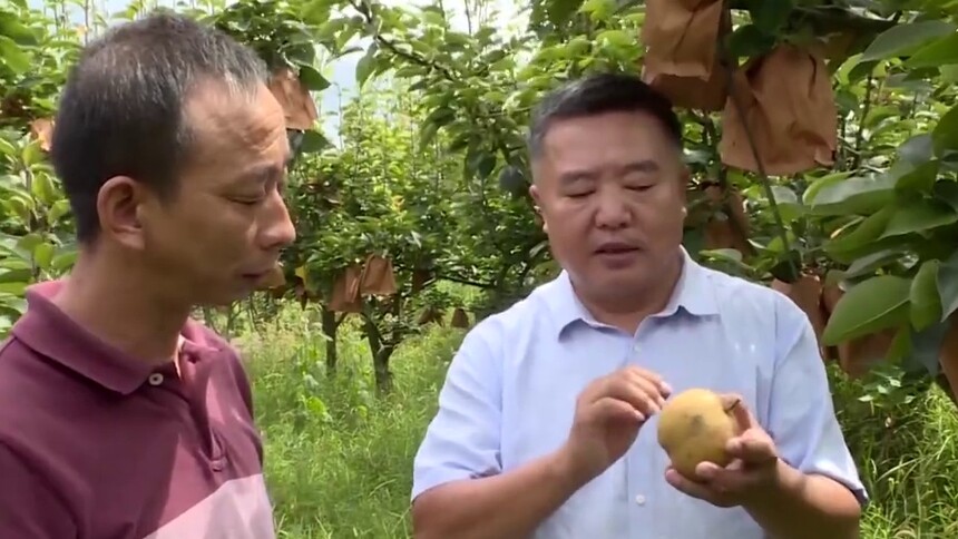 脱贫攻坚群英谱 肖辉旺：产业特色发展 带富一方百姓