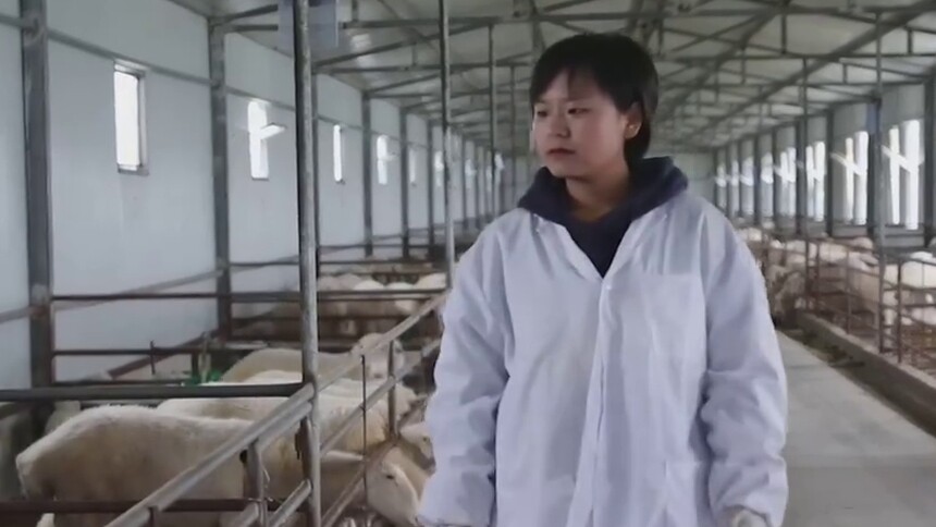 王美玲：被小羊羔“征服”的爱美女孩儿