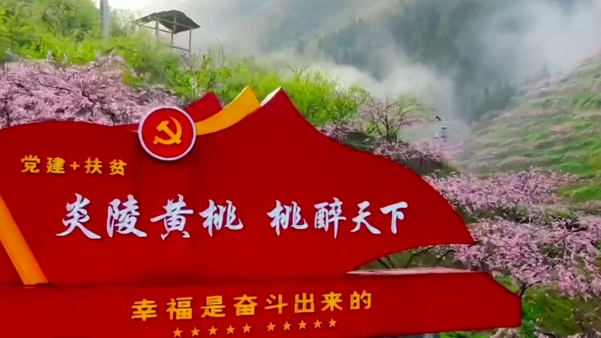 时代楷模·黄诗燕（2）：广种黄桃 致富万家