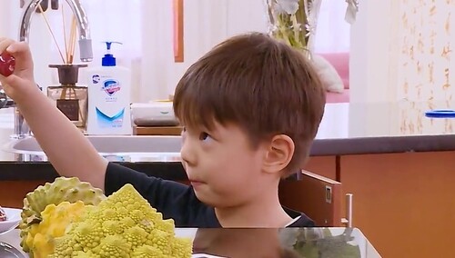 水果＋水＝果汁？嗯哼式榨果汁“蠢”到令人心疼