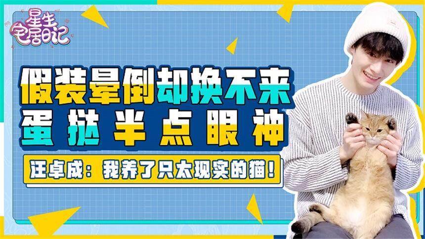 【星生宅居日记】《陈情令》江澄现场装晕？高冷猫咪无情走开