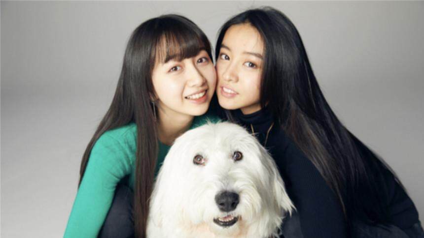 全家高颜值！木村拓哉大女儿将登封出道，硬照像极妈妈静香