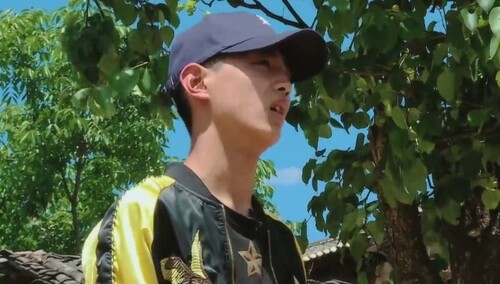 终于干架了！薛浩呈软萌反击凌明乾的“咆哮式”讨打