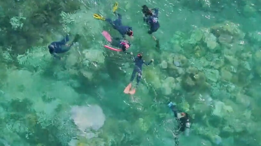 美男鱼上线！杨祐宁放大招变身海洋之子