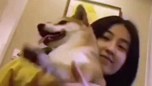 《向往的生活4》探班日记：蘑菇屋四子近况 瓢哥释放天性盆妹善解人意！