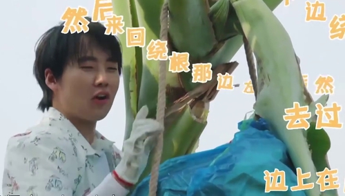 向往的生活 第四季