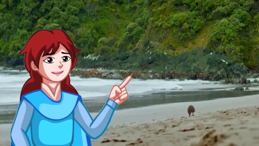 第11集 荒岛重逢，胜利返航！