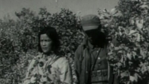 中华女儿
