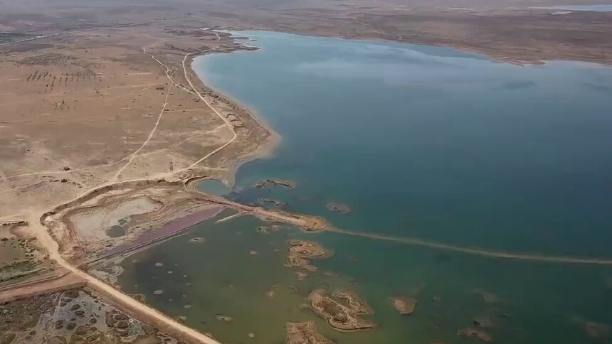 数千只候鸟在海子井湿地公园安家