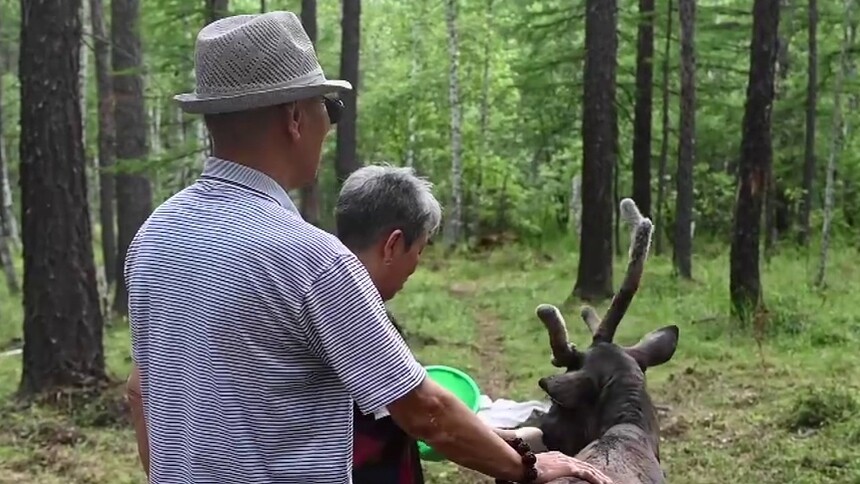 走出山林奔小康——鄂温克族迎来新生活