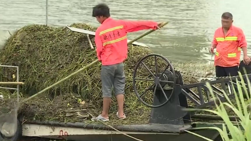 长沙 新闻特写：河道保洁任我行 皮肤黝黑我最美