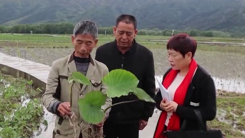 湖南 张四玲：深入基层才能有效履职