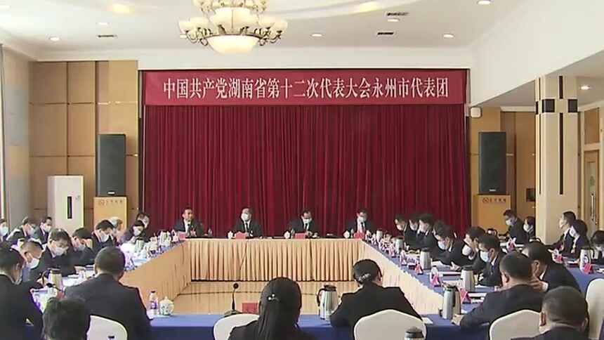 王成、许显辉参加永州代表团讨论