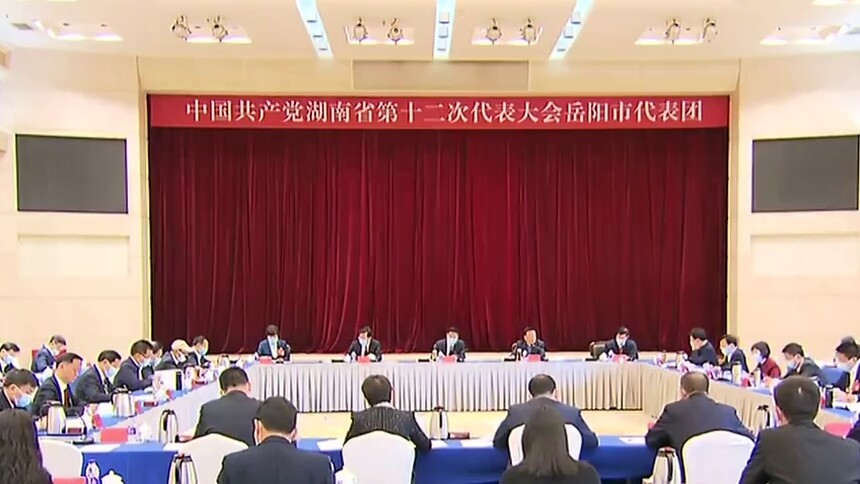 王双全、陈飞参加岳阳代表团讨论