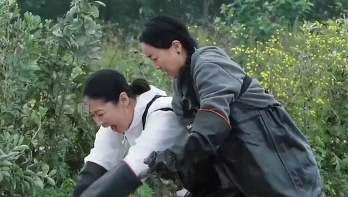 《向往的生活5》6月18日看点：蘑菇屋羽毛球大比拼 那英梁静泥潭捉泥鳅