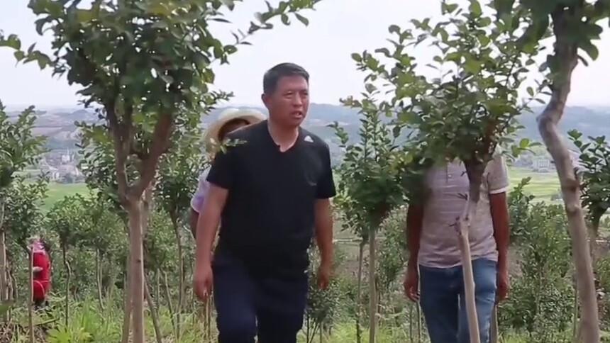 万亩荒山到金山银山 刘祖治：十年树木的“林二代”