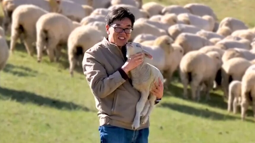 杨博辉：皑皑祁连雪 漫漫育羊路