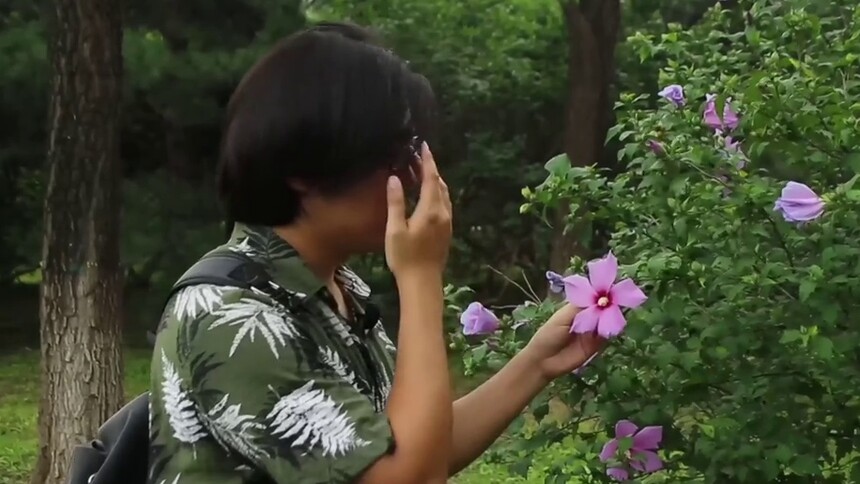 我和生物多样性的故事|植物的老朋友—王丹昊