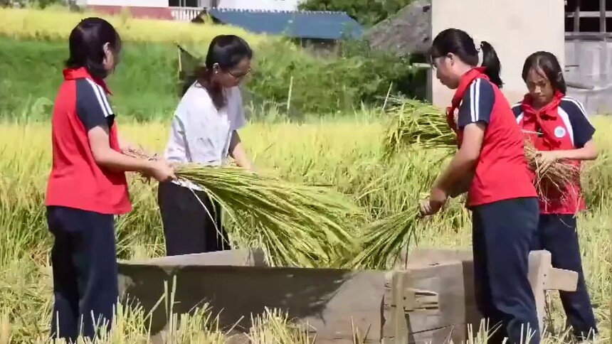 贵州余庆：稻田里的开学第一课