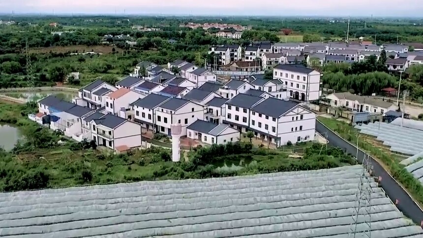 老乡和你唠丨老刘阳光大道上的绿色“玫瑰”