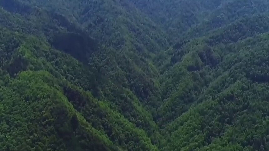 千城胜景｜遇见木林子原始森林