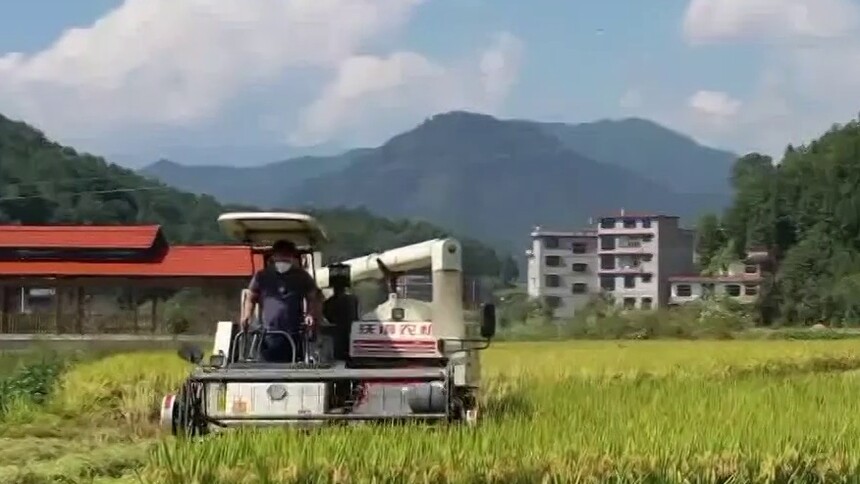 湖南：丰收画卷迎风舒展 希望田野绚烂多彩