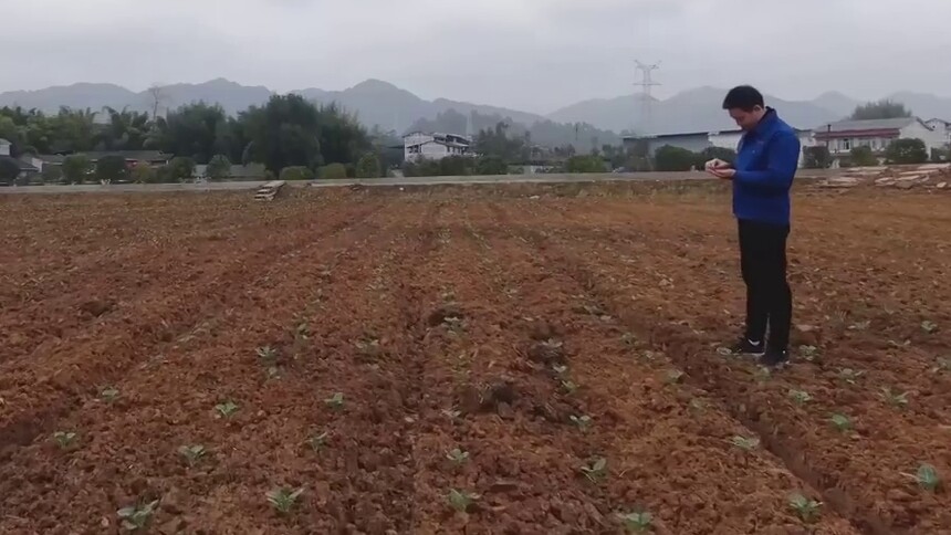 新春走基层丨新农人李华的牛年账本