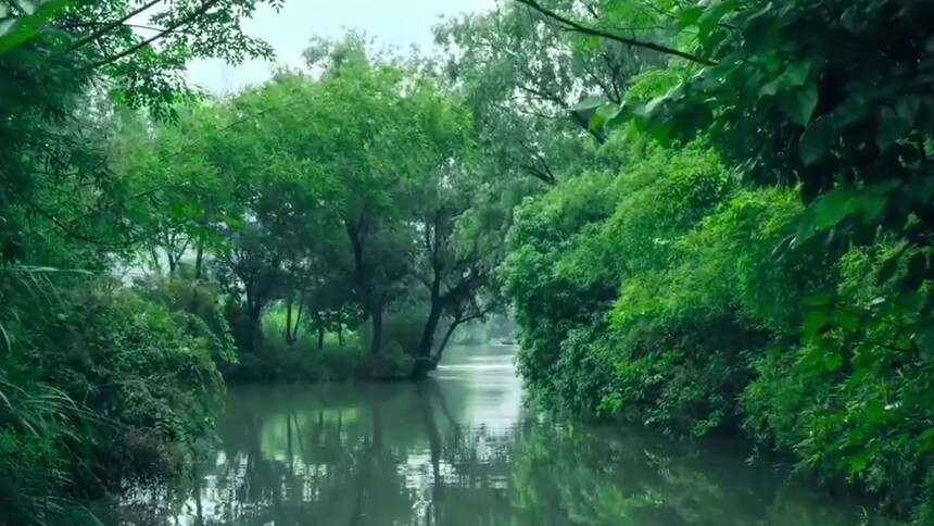 （新华全媒+）湿地之美丨杭州西溪湿地