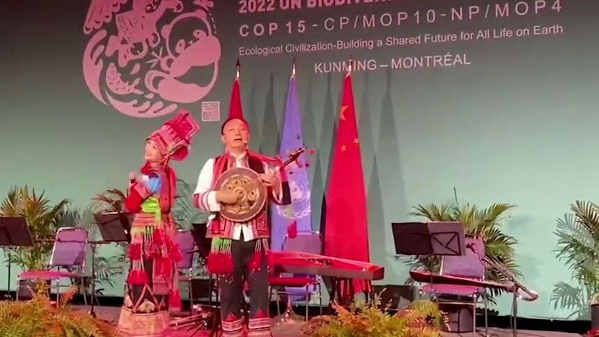 全球连线｜亮相蒙特利尔的海菜腔，有什么来头？