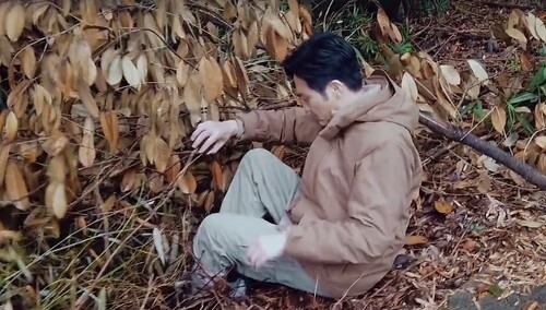张智霖意外失踪？全员疯狂“搜捕”