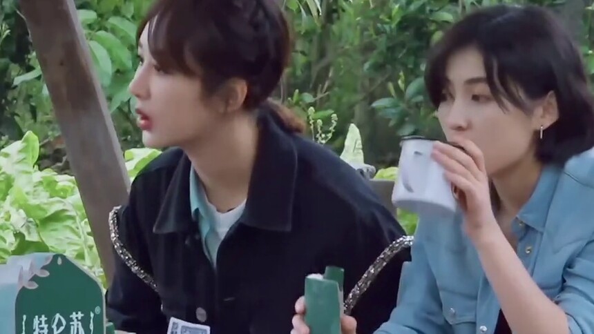 张子枫自制奶茶小妙招 一口奶一口茶享受双倍快乐
