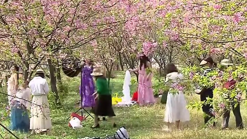 踏春行陶醉花海中 农家乐徜徉美食里
