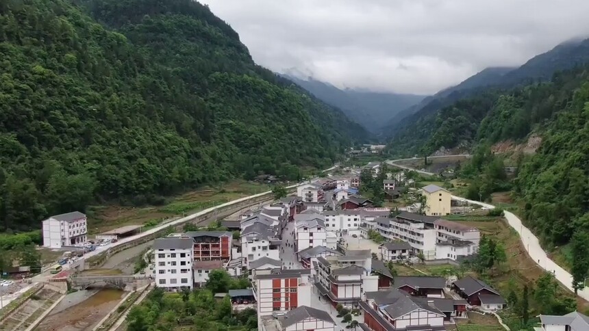 重庆金铃：此山中 云深处